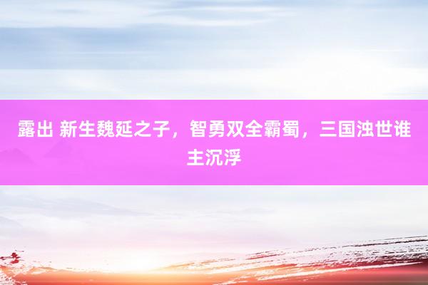 露出 新生魏延之子，智勇双全霸蜀，三国浊世谁主沉浮