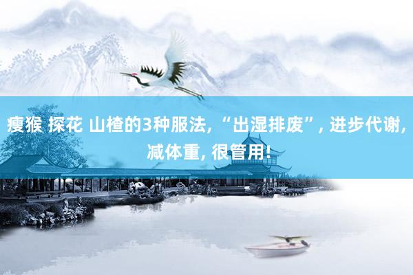 瘦猴 探花 山楂的3种服法， “出湿排废”， 进步代谢， 减体重， 很管用!