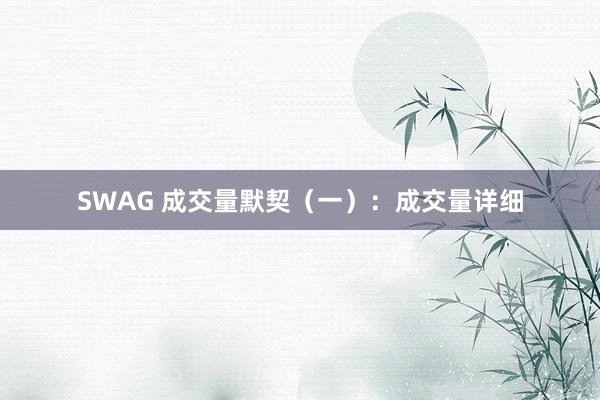 SWAG 成交量默契（一）：成交量详细
