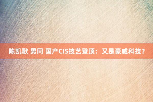 陈凯歌 男同 国产CIS技艺登顶：又是豪威科技？
