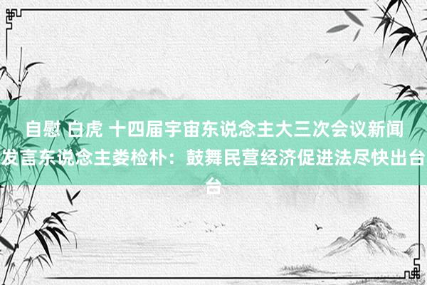 自慰 白虎 十四届宇宙东说念主大三次会议新闻发言东说念主娄检朴：鼓舞民营经济促进法尽快出台